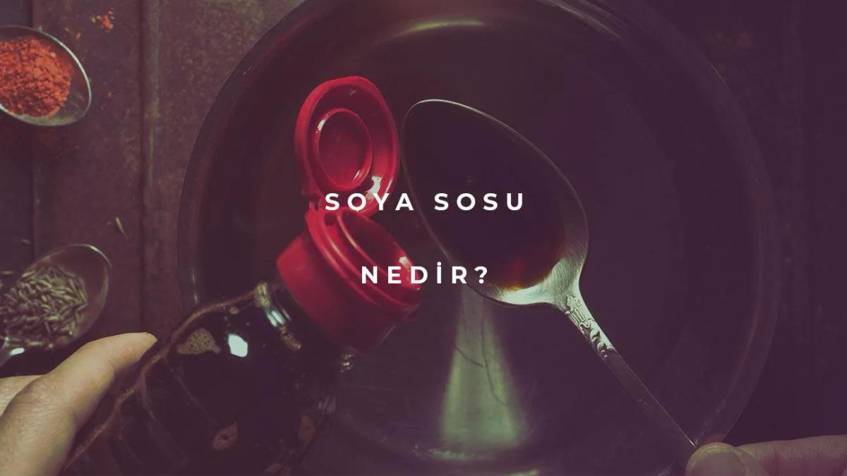 Soya Sosu Nedir?