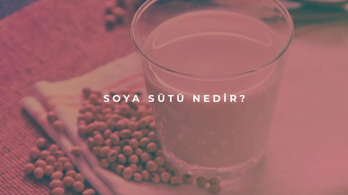 Soya Sütü Nedir?