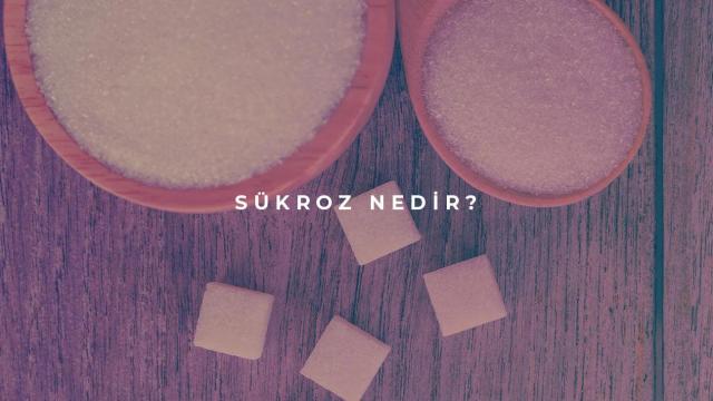 Sükroz Nedir?