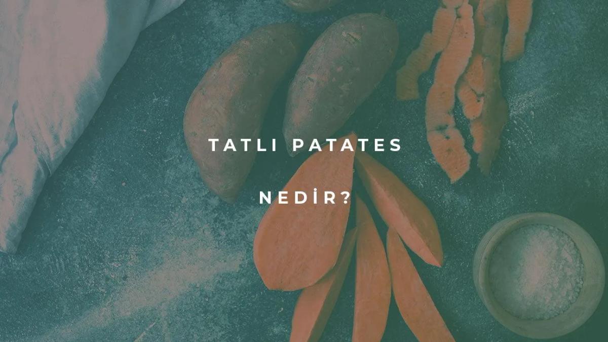 Tatlı Patates Nedir?