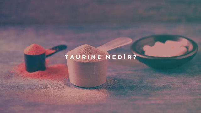 Taurin Nedir?