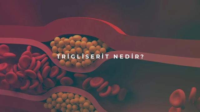 Trigliserid Nedir?