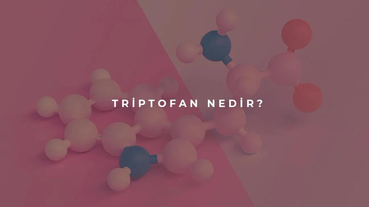 Triptofan Nedir?