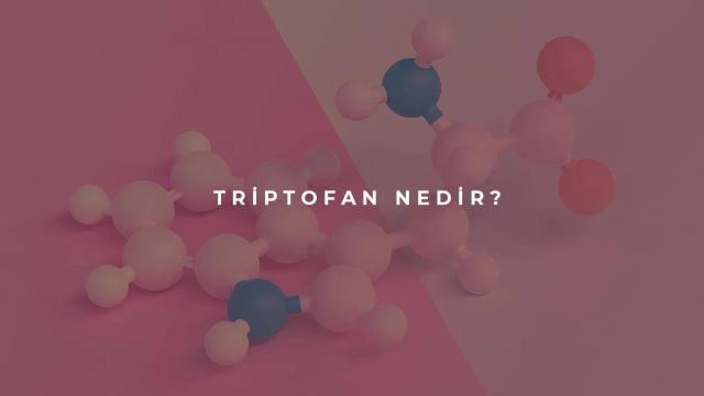 Triptofan Nedir?