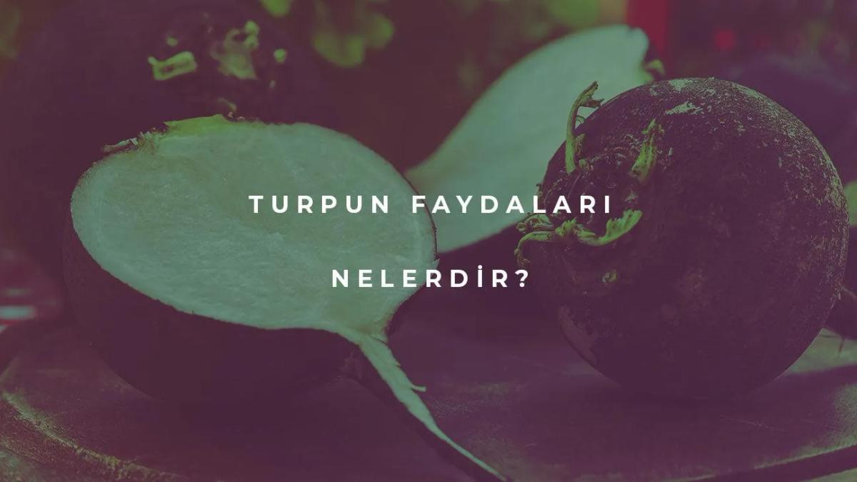 Turpun Faydaları Nelerdir?