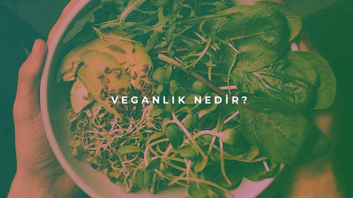 Veganlık Nedir?