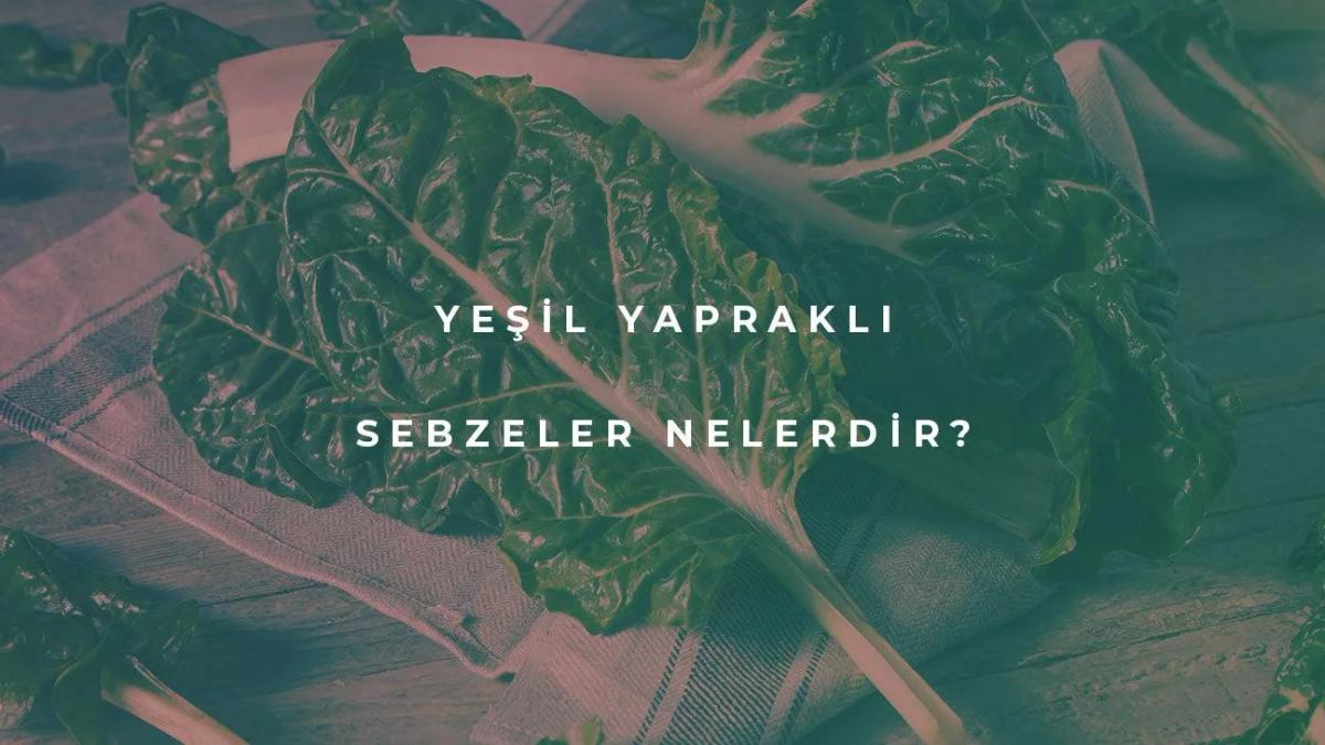 Yeşil Yapraklı Sebzeler Nelerdir?