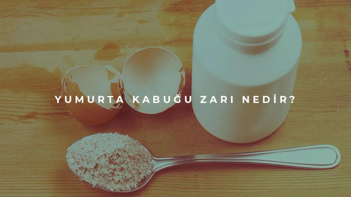 Yumurta Kabuğu Zarı Nedir?