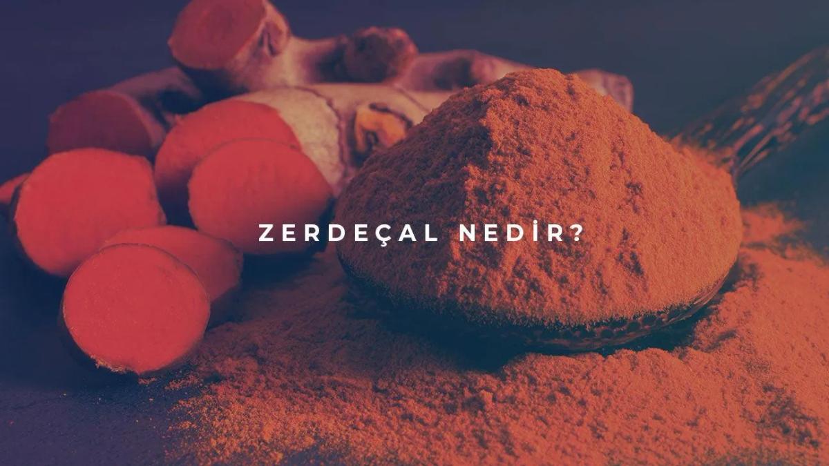 Zerdeçal Nedir?