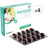 AlchemLife Phytocid 30 Kapsül 4'lü Paket