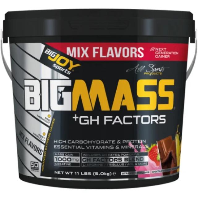 Bigjoy Sports BIGMASS Gainer GH FACTORS Mix Aroma 5000g