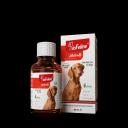 BioFeline Plus+B For Dogs Köpekler için Tüy Sağlığı Damlası 50 ml