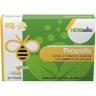 HERBasist Propolis 24 Pastil