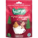 Humm Organic Vegan Zencefilli ve Tarçınlı Kurabiye 55 g