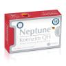 Neptune Koenzim QH 100 mg 30 Kapsül